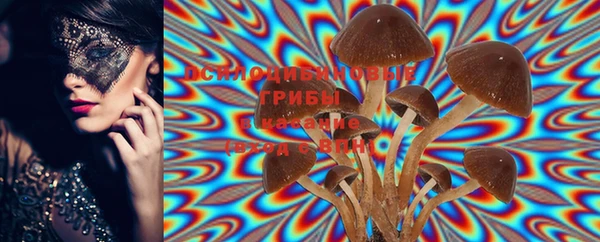 PSILOCYBIN Алексеевка