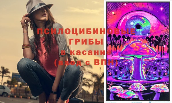 соль ск Алзамай
