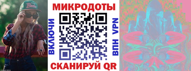 Псилоцибиновые грибы Psilocybe Туринск