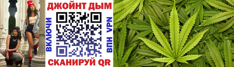 где купить наркоту  Туринск  kraken зеркало  Канабис семена 
